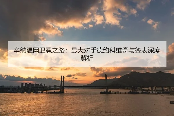 辛纳温网卫冕之路：最大对手德约科维奇与签表深度解析